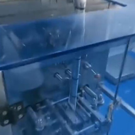 Particle packaging machine